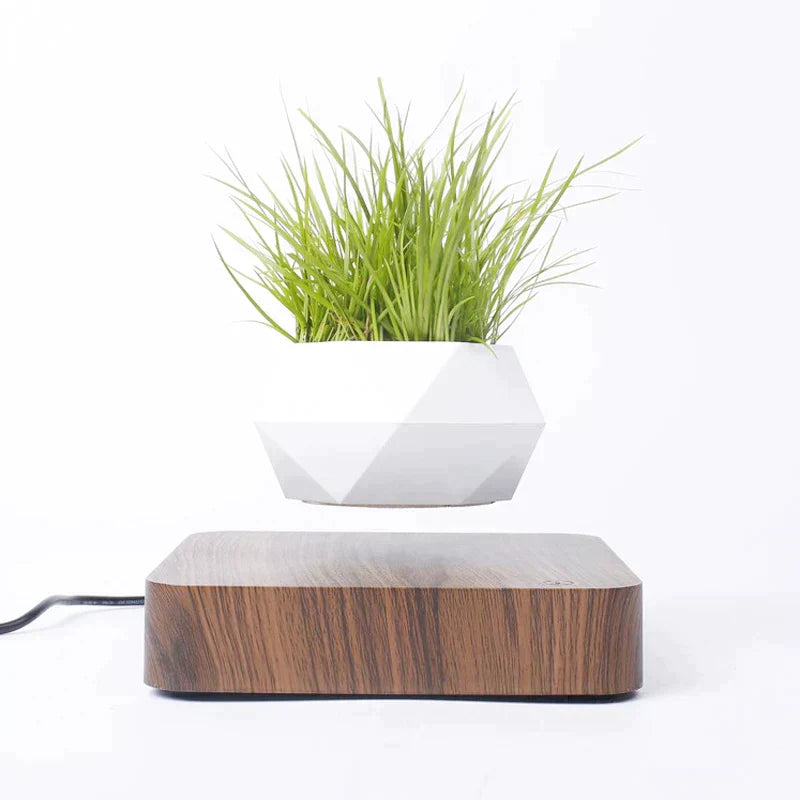 Magnetic Levitating Planters